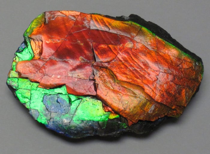 Ammolite specimen 2