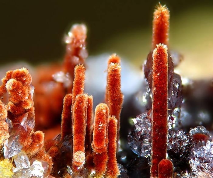 Carminite specimen 2