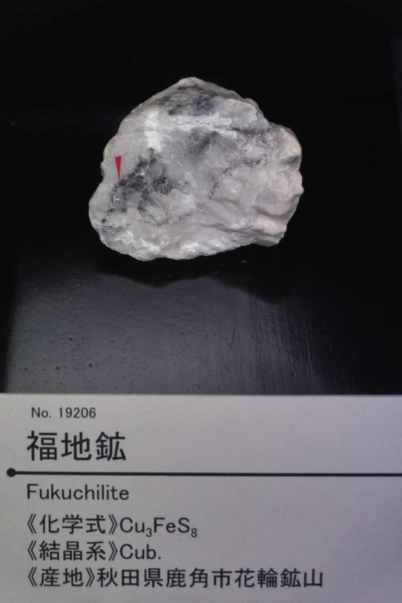 Fukuchilite specimen - rock identification