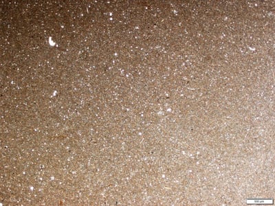 Mudstone - Sedimentary