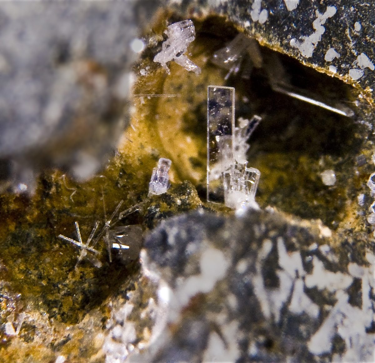 Paralaurionite specimen - rock identification