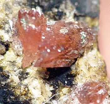 Sarkinite specimen - rock identification