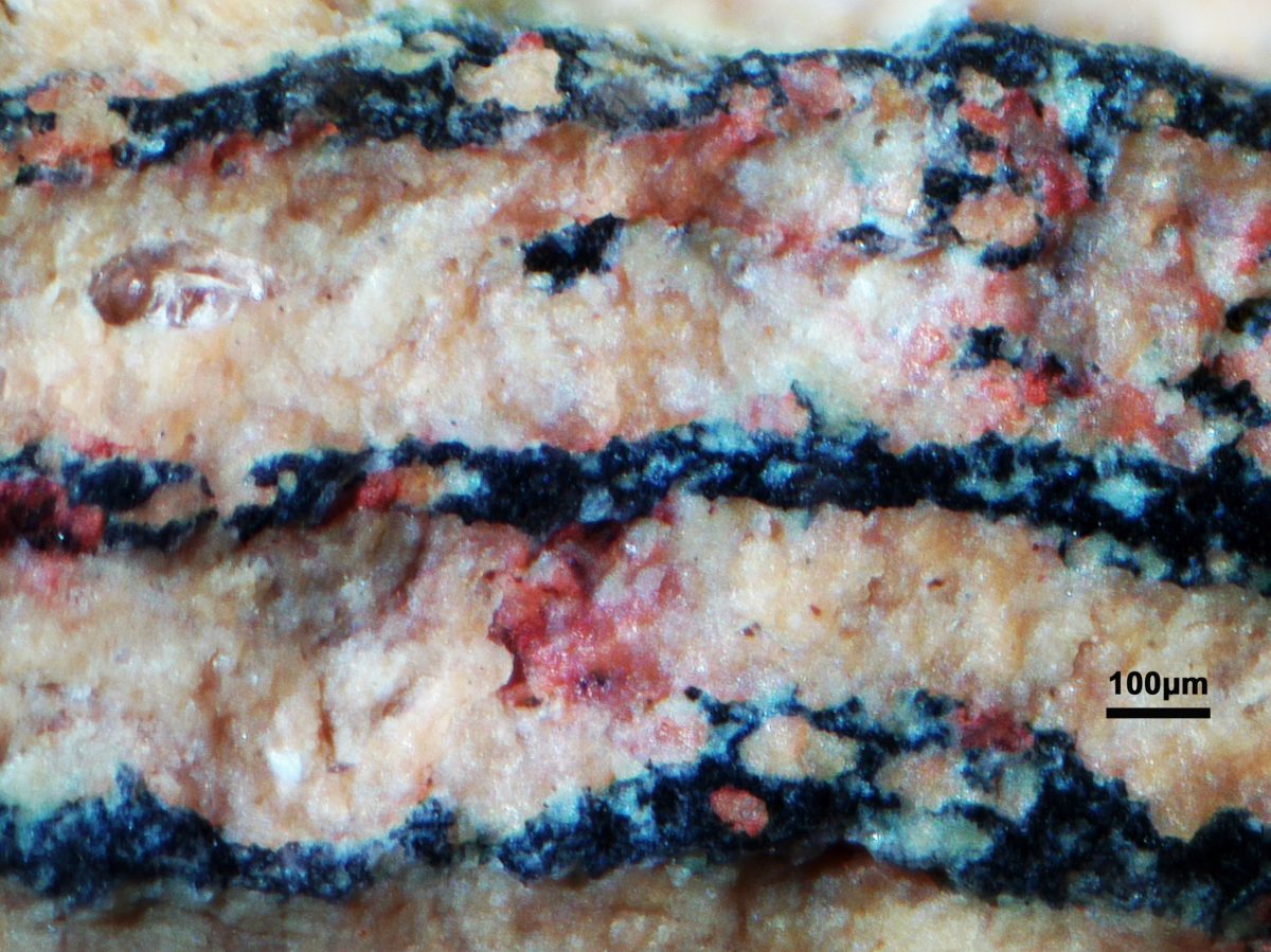 Shungite specimen - rock identification