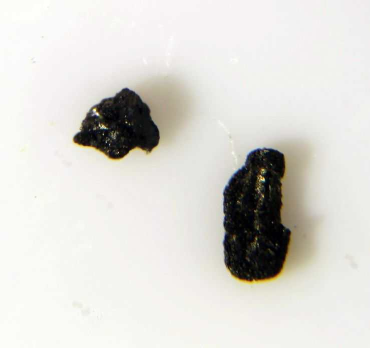 Stilleite specimen - rock identification