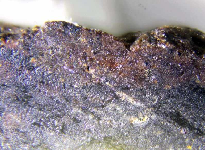 Suessite specimen - rock identification